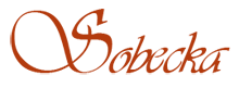 Wypożyczalnia instrumentów dla dzieci - Sobecka